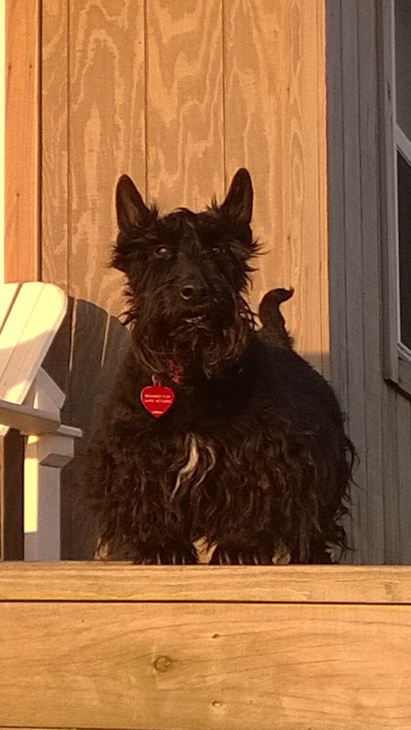 Duncan