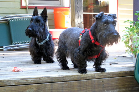 Hansel and Gretel