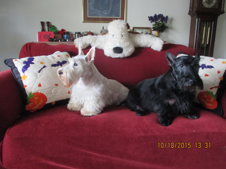 DUCHESS & PRINCESS