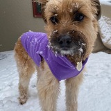 Entry image for Jane