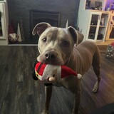 Entry image for Bossco