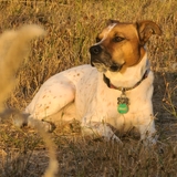 Entry image for Rory