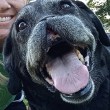 Entry image for Fairley 