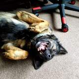 Entry image for Agatha