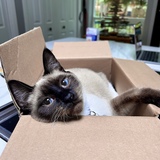 Entry image for Tonx