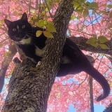 Entry image for Furnando 