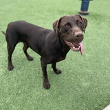 Entry image for Franklin