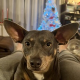 Entry image for Bleu 