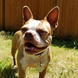 Entry image for Sydney