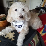 Entry image for Winnie