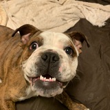 Entry image for Penny Lou Dread