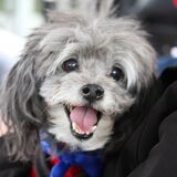 Entry image for Silver