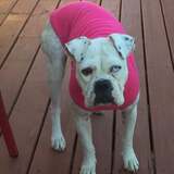 Entry image for Cosette 