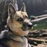 Entry image for Mazzy