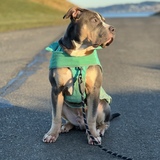 Entry image for Snoopy