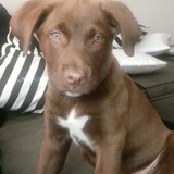 Entry image for Dallas