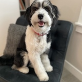 Entry image for Sully