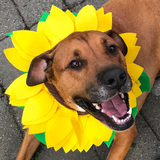 Entry image for Kevin