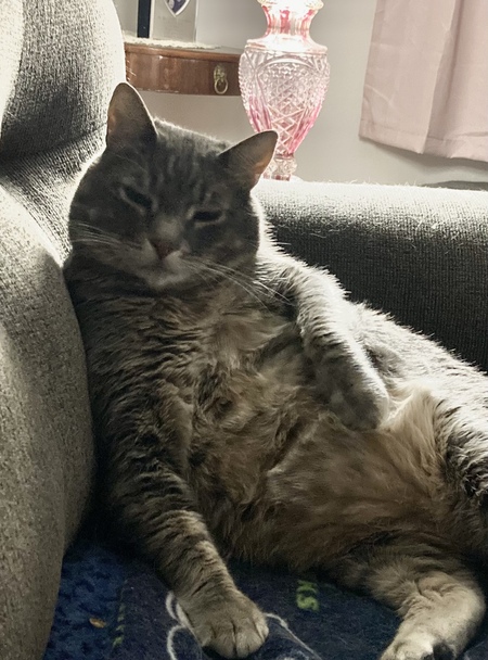 Entry image for Handsome Rob . Clicking this image will show a larger photo