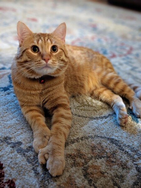 Entry image for Craig. Clicking this image will show a larger photo