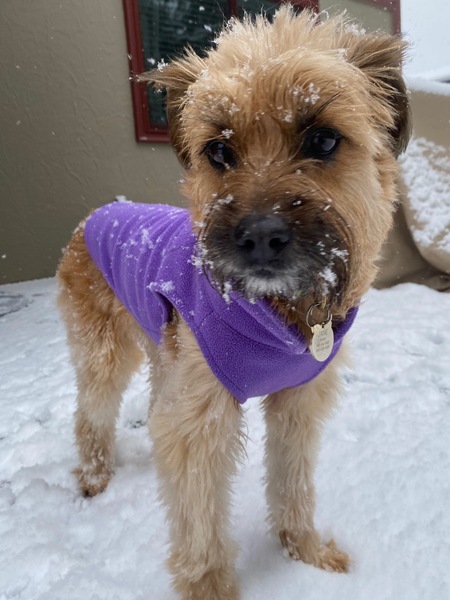 Entry image for Jane. Clicking this image will show a larger photo