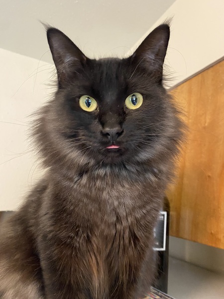 Lennon