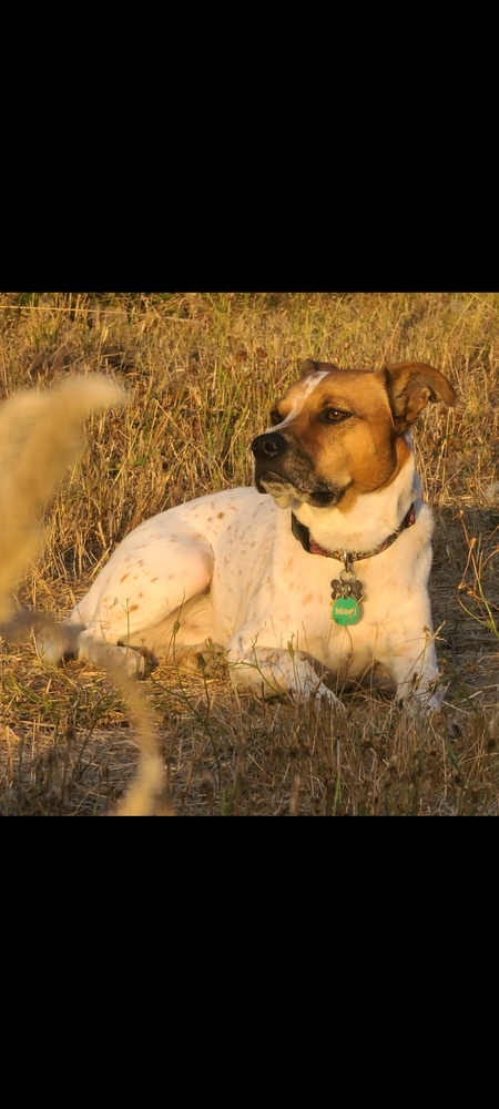 Entry image for Rory. Clicking this image will show a larger photo