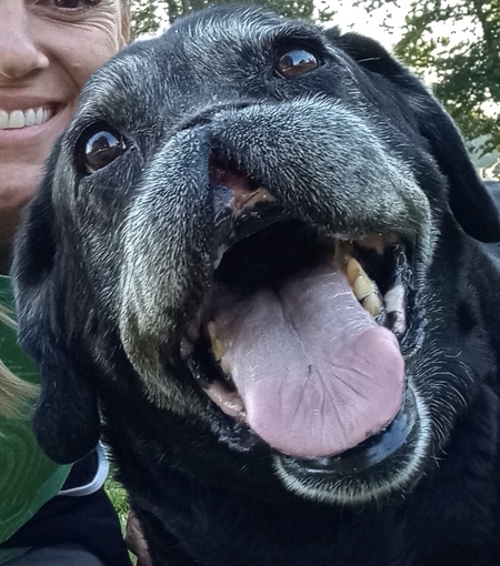 Entry image for Fairley . Clicking this image will show a larger photo