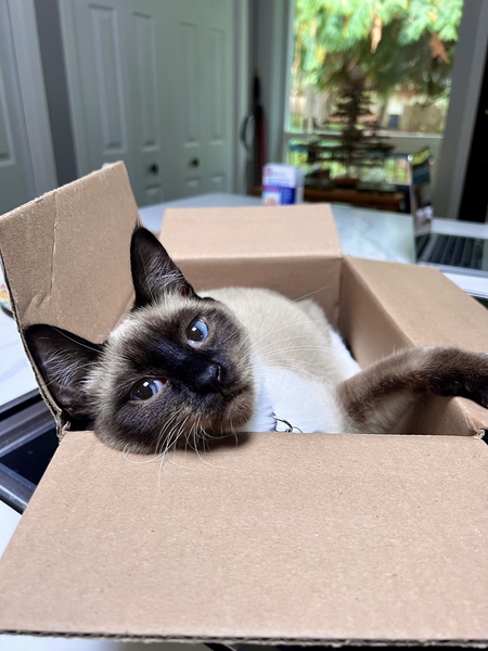 Entry image for Tonx. Clicking this image will show a larger photo