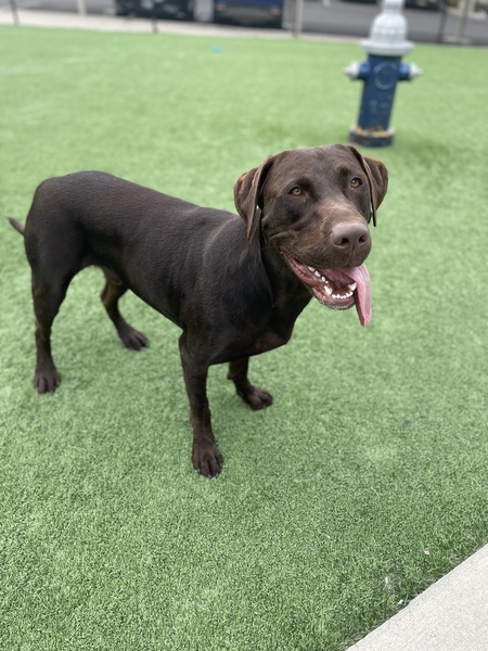 Entry image for Franklin. Clicking this image will show a larger photo