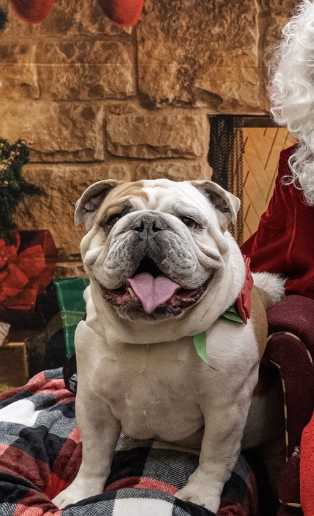 Gus