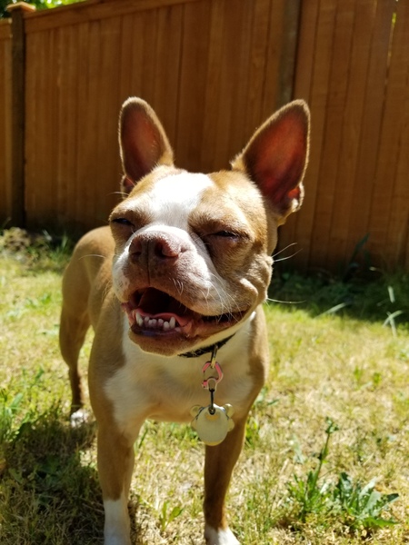 Entry image for Sydney. Clicking this image will show a larger photo