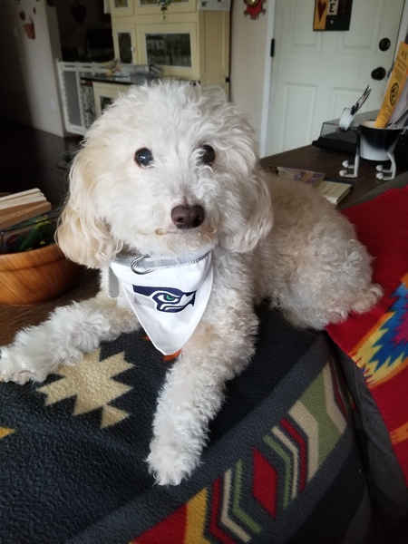 Entry image for Winnie. Clicking this image will show a larger photo