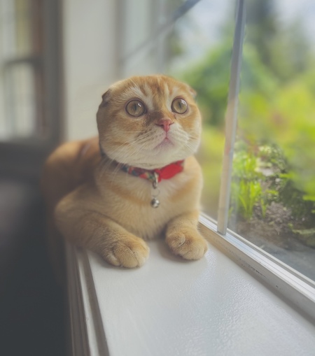 Butters