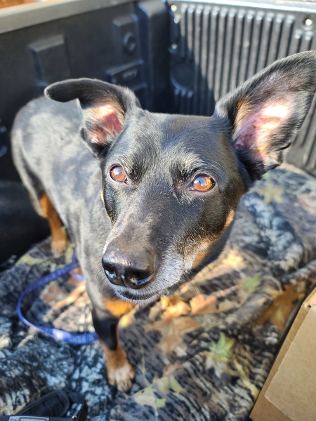 Entry image for Happy. Clicking this image will show a larger photo