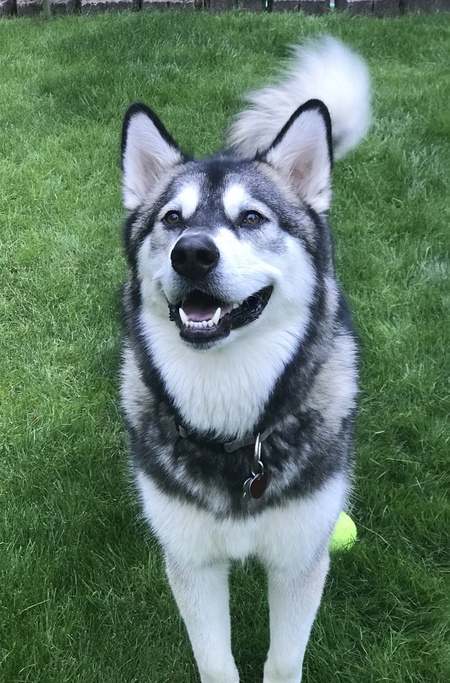 Nuka