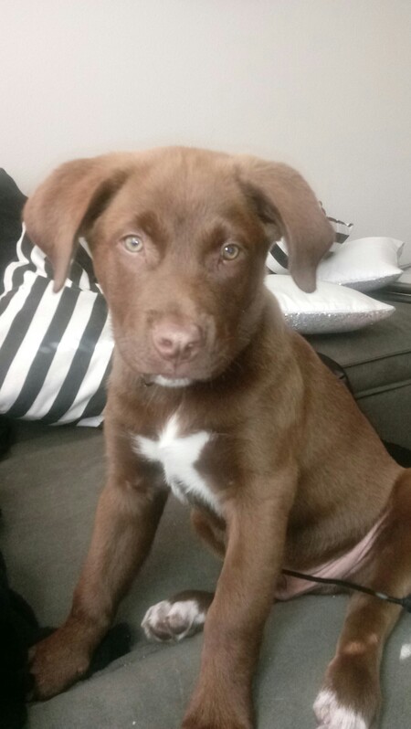 Entry image for Dallas. Clicking this image will show a larger photo