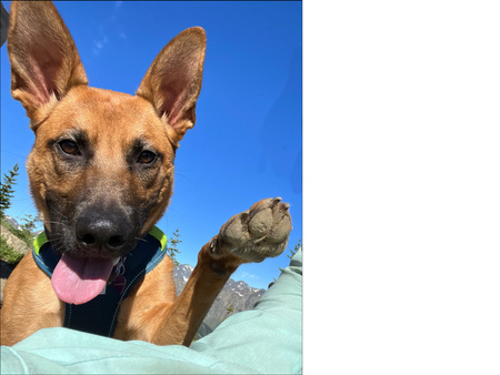 Entry image for Queen Penelope . Clicking this image will show a larger photo