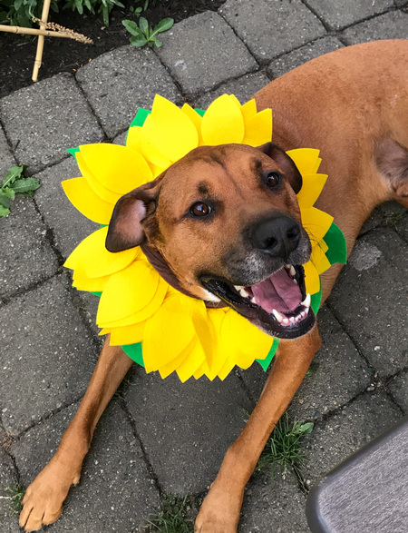 Entry image for Kevin. Clicking this image will show a larger photo