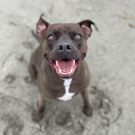 Capone