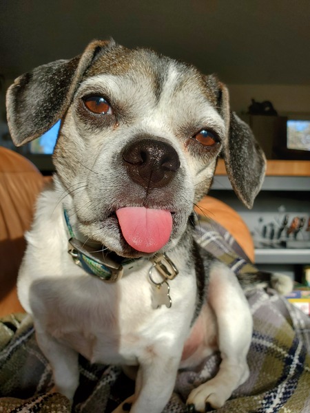 Tito