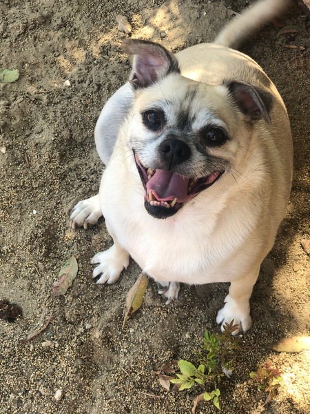 Maggie