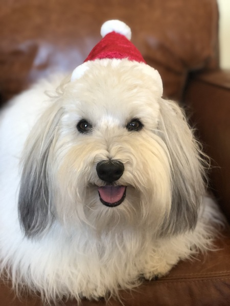 Baxter
