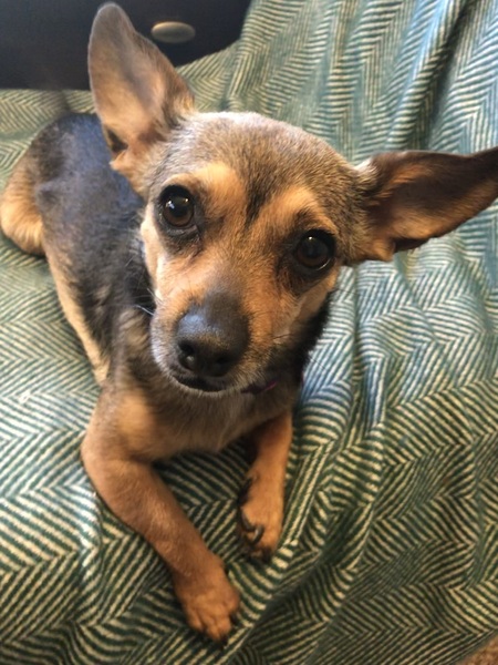 Bella