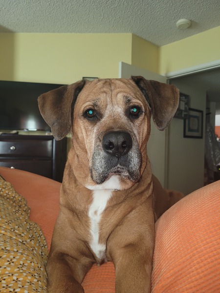 Maggie Mae
