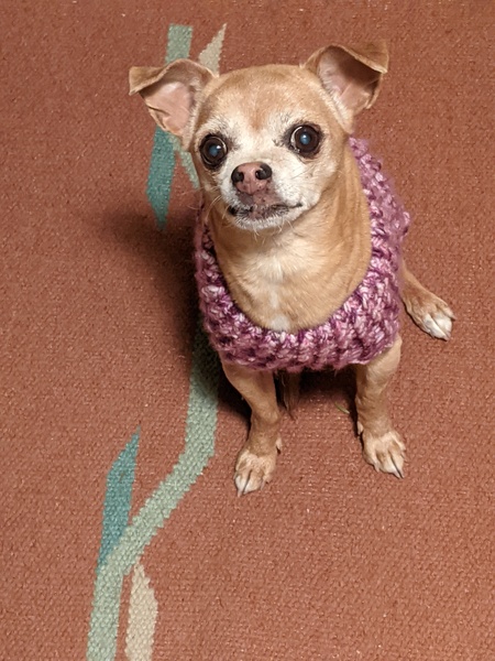 Lola