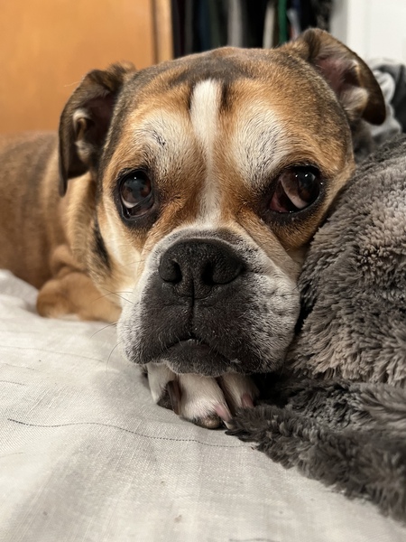 Oliver
