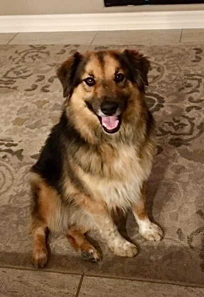 Tucky 