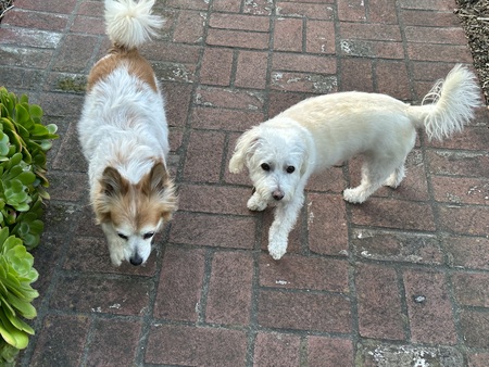 Stanley and Rosey
