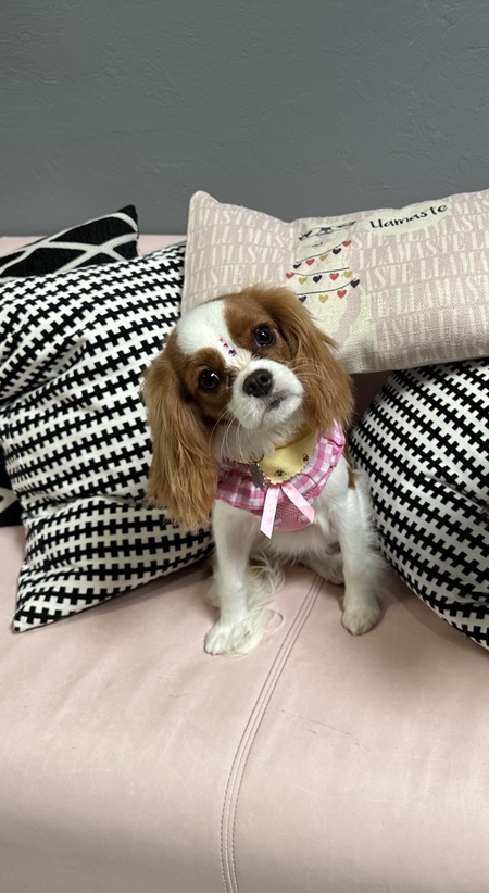 Rosie